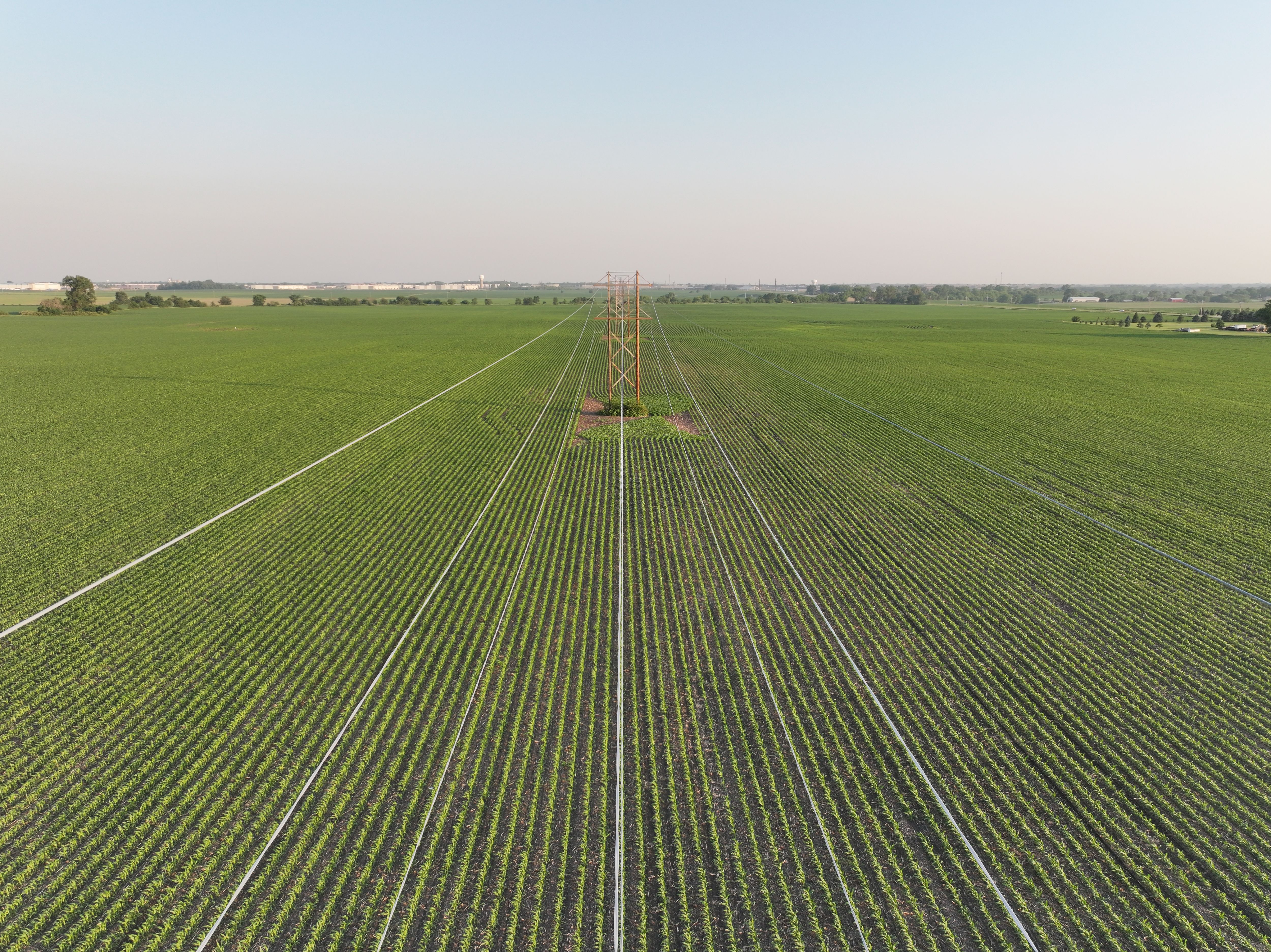 Listing Photo: Powerlines 3